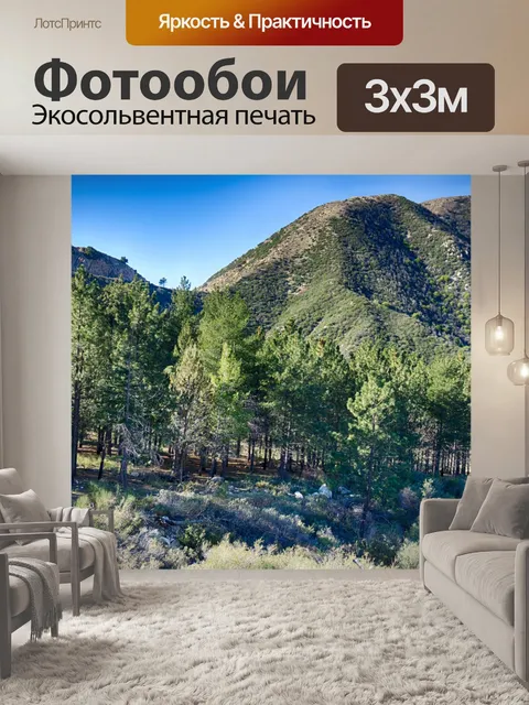 Фотообои Стенд Соснам