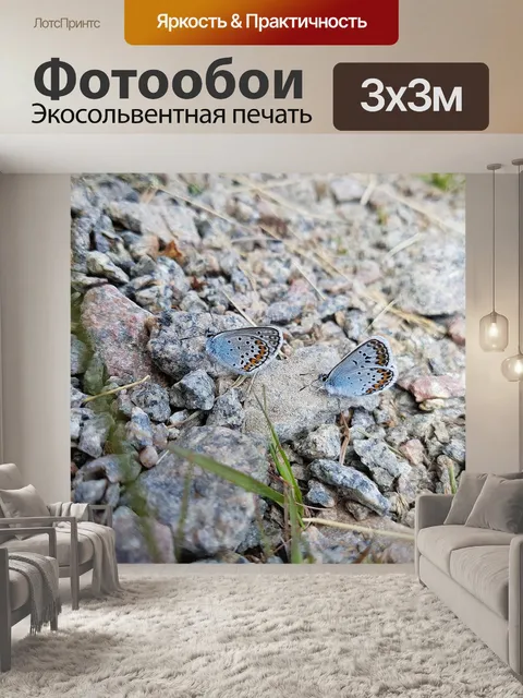 Фотообои Бабочки