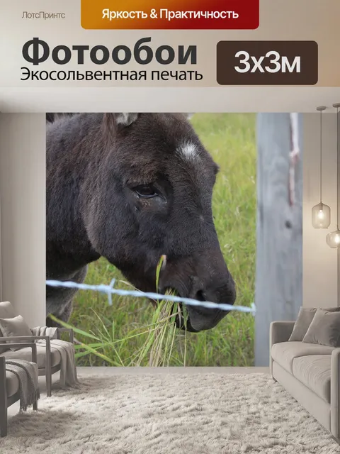 Фотообои Осел сельскохозяйственных животных
