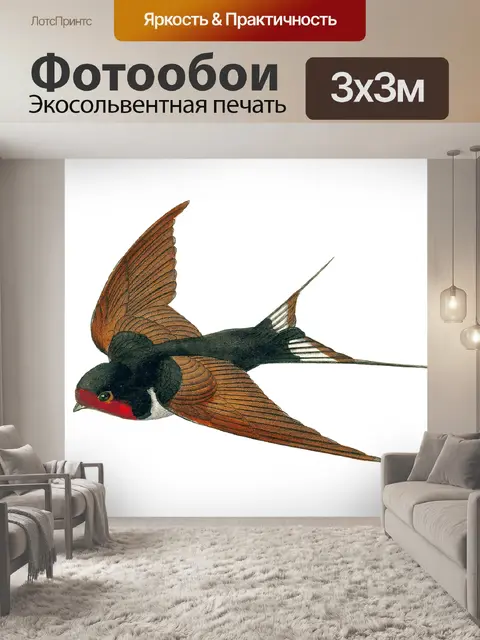 Фотообои Иллюстрация винтажного искусства птиц