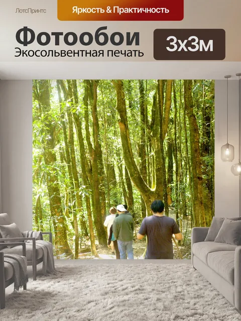 Фотообои Природа тропический лес дои Интанон наци