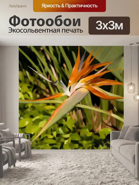 Фотообои Цветок райской птицы