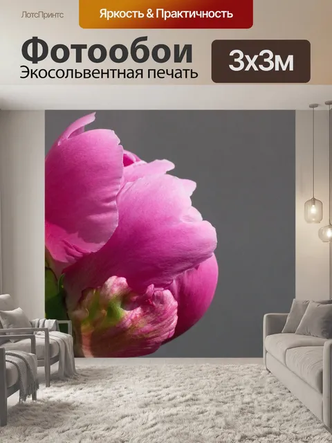 Фотообои Розовый