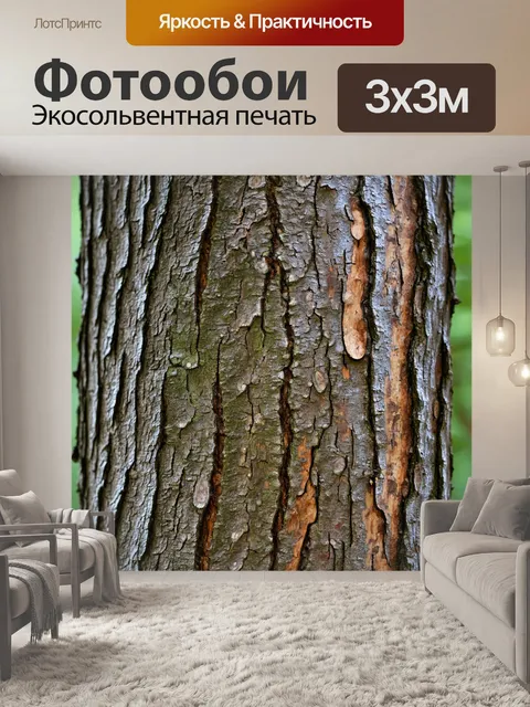 Фотообои текстура коры дерева