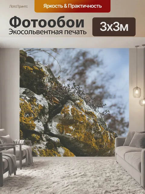 Фотообои Rock