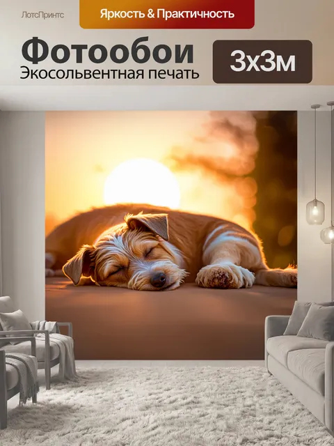 Фотообои спящий фокстерьер на фоне заката, освещённый теплым солнечным светом, который нежно обнимает его