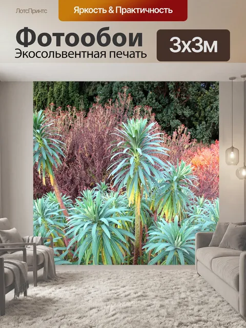 Фотообои Ботанический сад