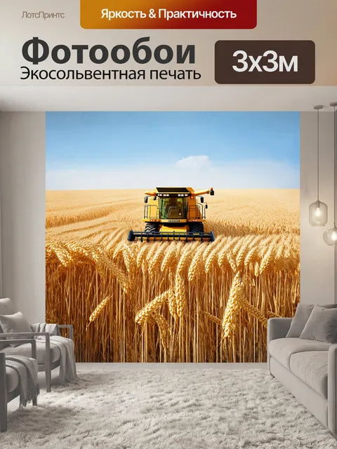 Фотообои комбайн на поле с золотыми колосками пшеницы