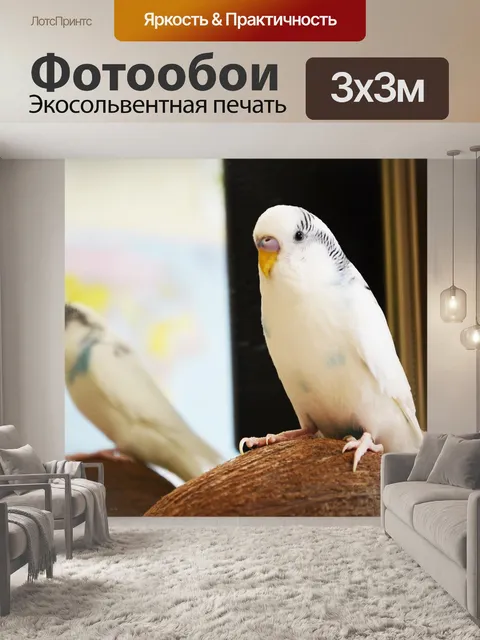 Фотообои Попугай