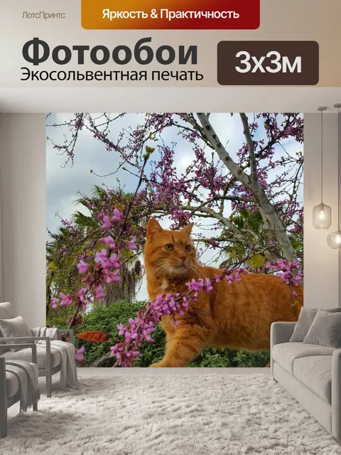 Фотообои Природа