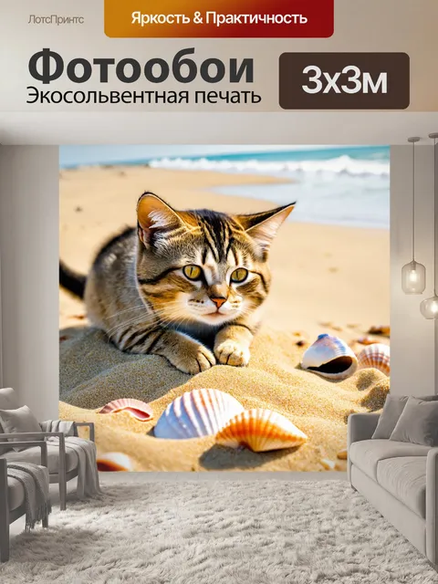Фотообои кот, играющий на пляже с песком и морскими ракушками
