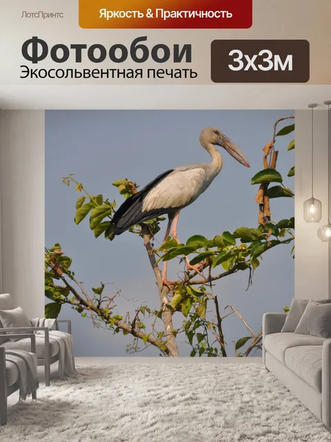 Фотообои Bird 2
