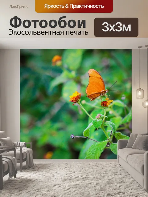 Фотообои Бабочка