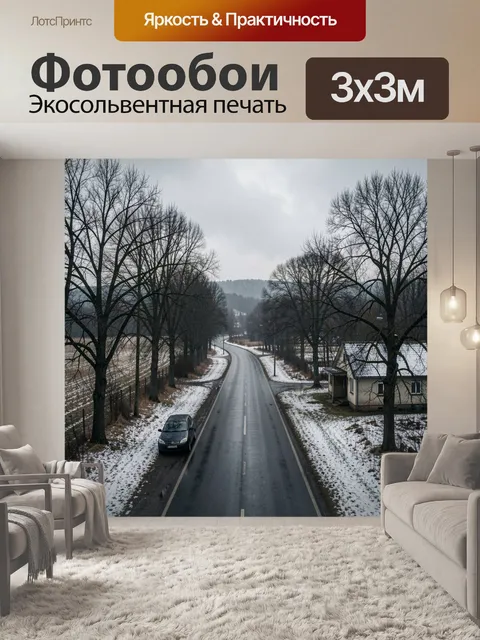 300 × 300 см · Экосольвентная печать