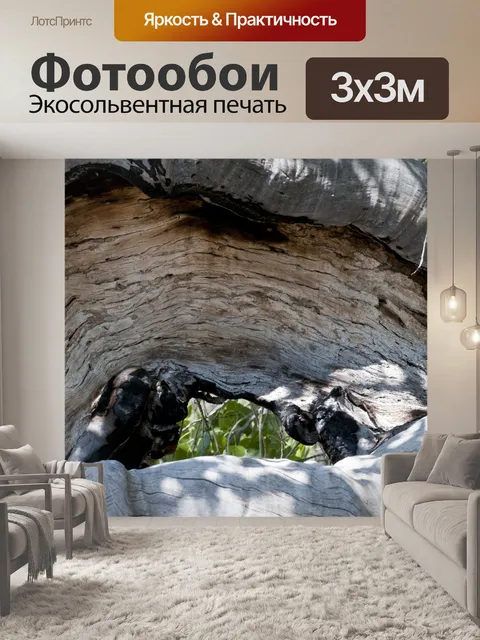 Фотообои Изогнутый ствол дерева