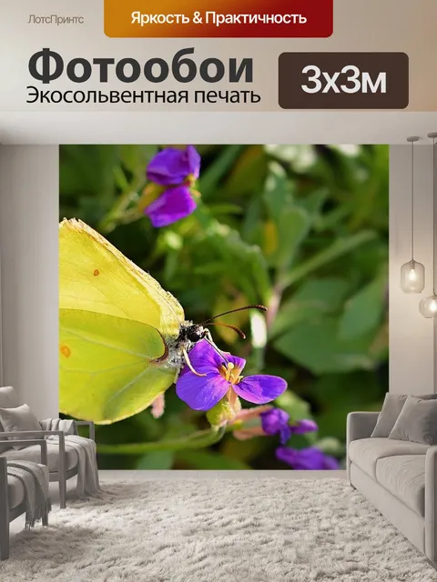 Фотообои Бабочка
