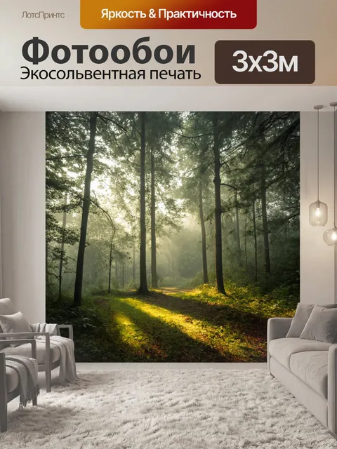 Фотообои лес с утренним туманом, мягкий свет пробивается сквозь деревья
