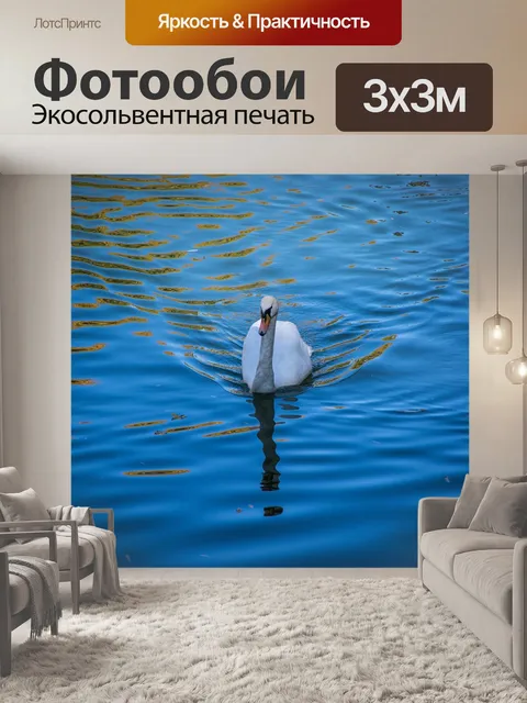 Фотообои Лебедь