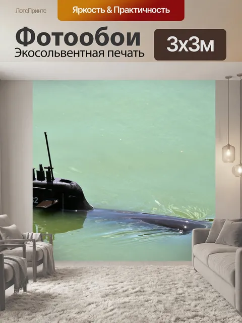 Фотообои Подводная лодка модель в пруду