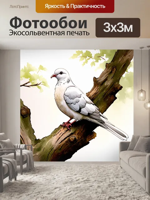 Фотообои белый голубь, сидящий на старом древе, освещаемом мягким утренним светом