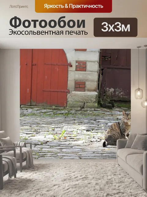 Фотообои Кот
