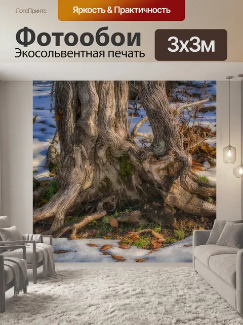 Фотообои Ствол