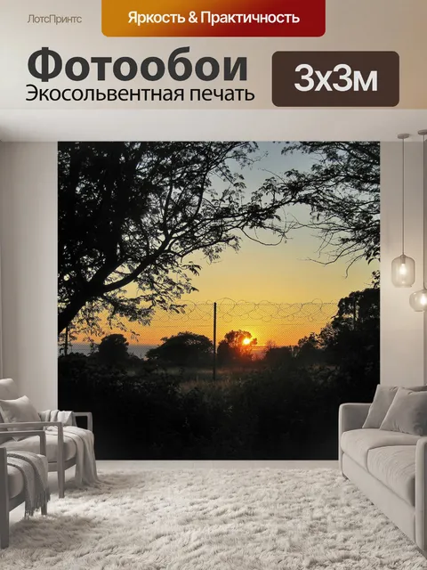 Фотообои рассвет за забором