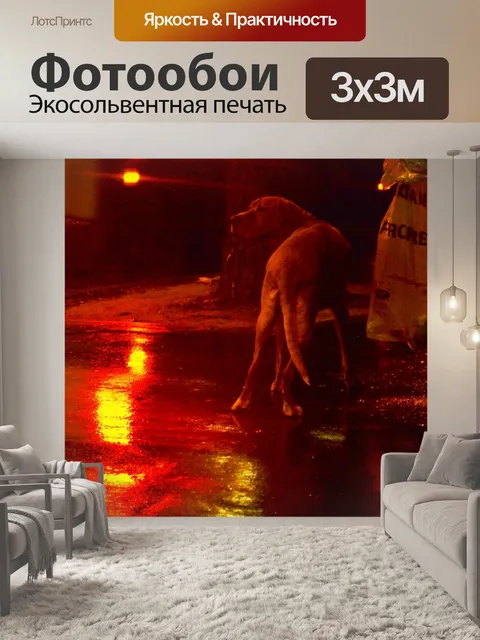 Фотообои Собака