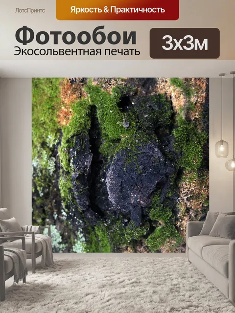 Фотообои Мох