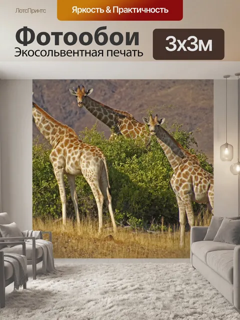 Фотообои Жирафы