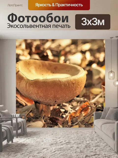 Фотообои Гриб подберезовик в форме чаши