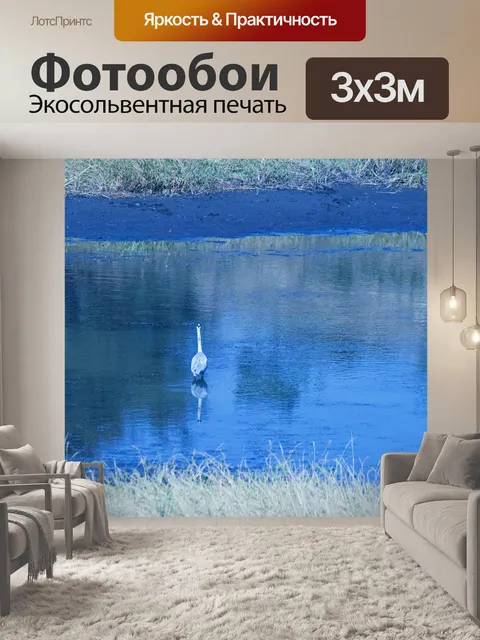 Фотообои серая цапля стоит в воде