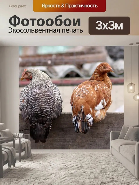 Фотообои Курица