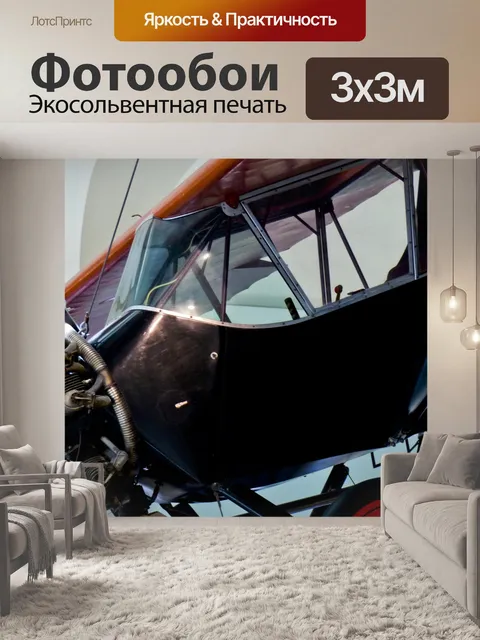 Фотообои Биплан-кокпит