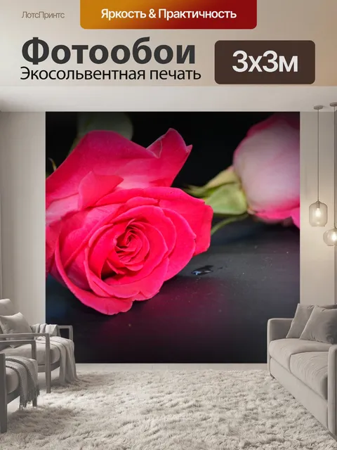 Фотообои розовые розы
