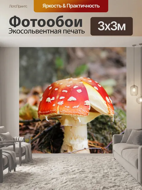 Фотообои Поганка