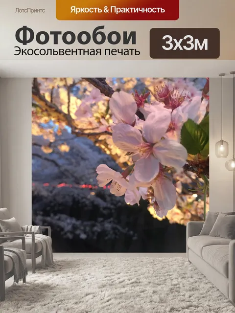 Фотообои Сакура