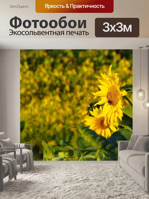 Фотообои Подсолнух