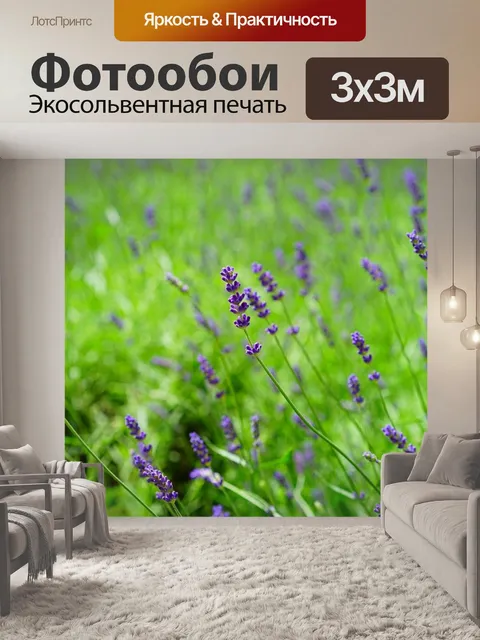 Фотообои Лаванда