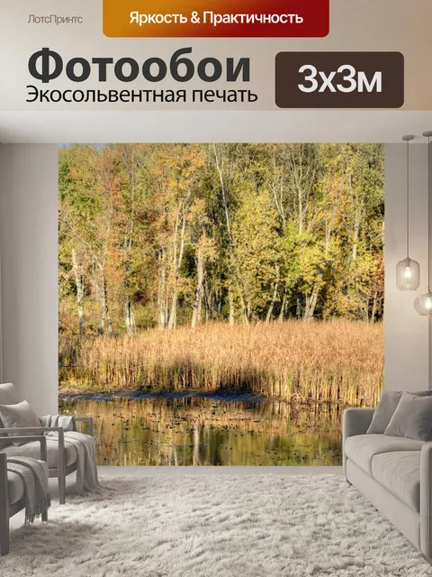 Фотообои Осенние деревья