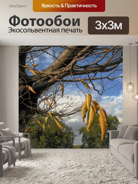 Фотообои кластер желтыми листьями