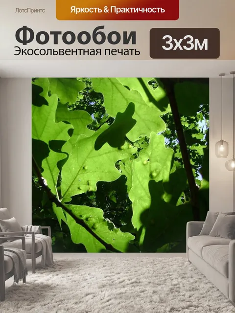Фотообои Листья