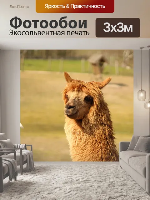 Фотообои Альпака