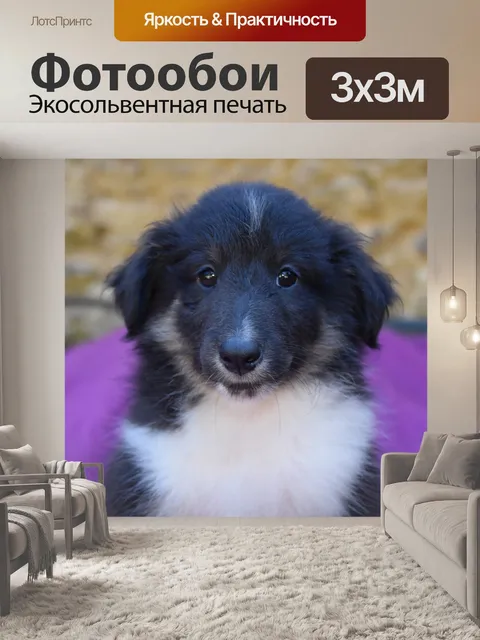 Фотообои Щенок