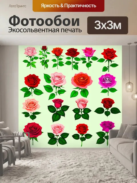 Фотообои розы в стиле инфографический рисунок, яркие цветы и научные факты о растениях