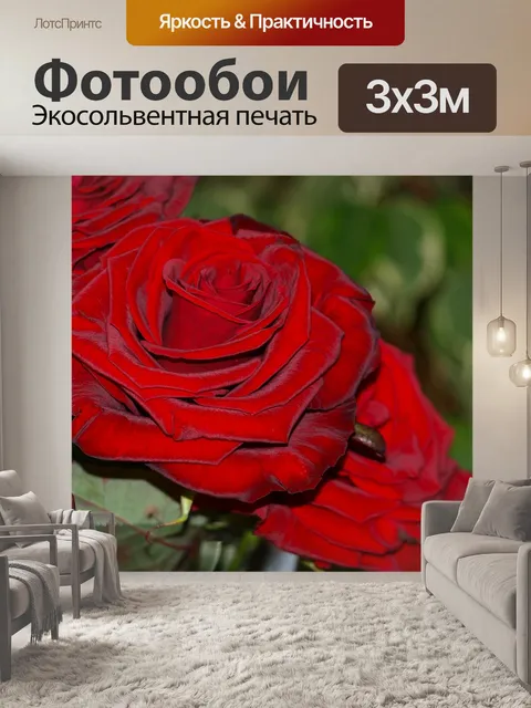 Фотообои Цветы