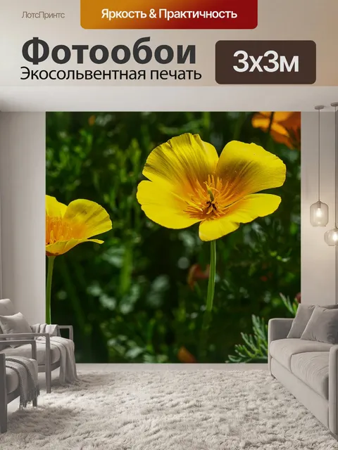 Фотообои Золотой мак