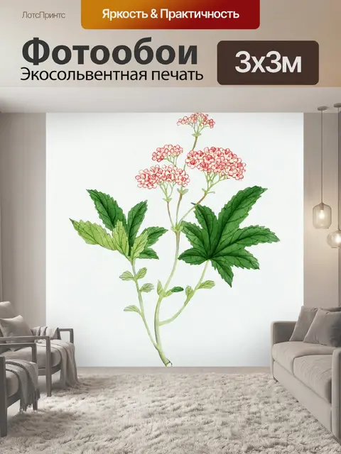 Фотообои Цветок полевой цветок старинное искусств