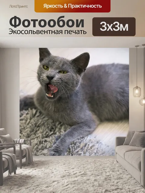 Фотообои Китти