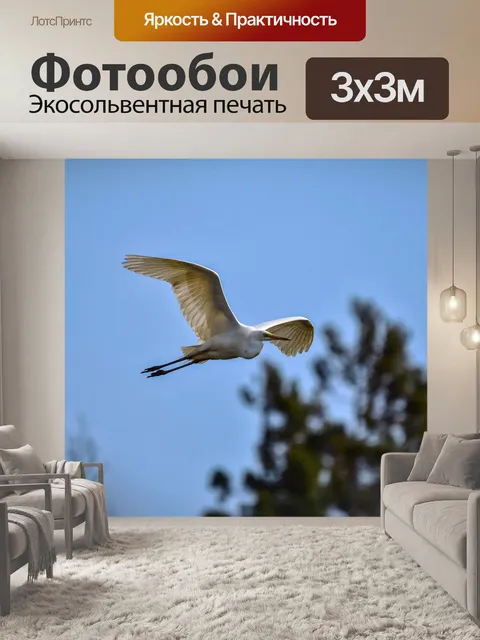 Фотообои Животное